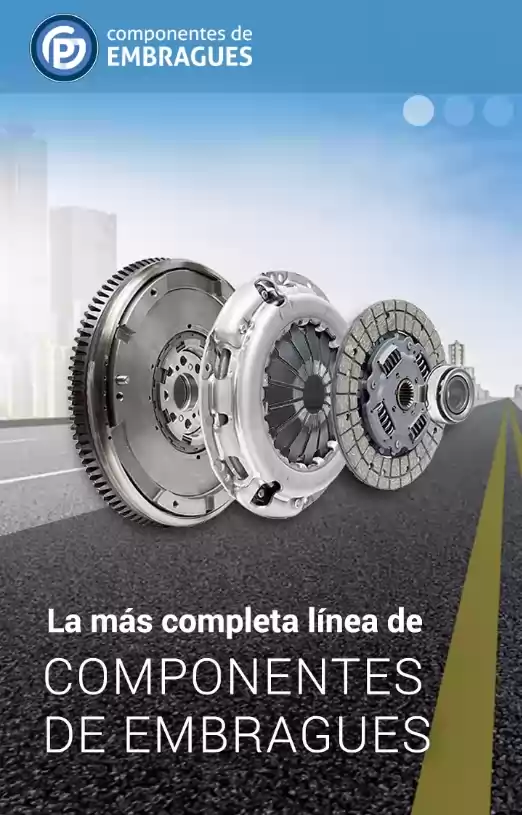 Mayorista